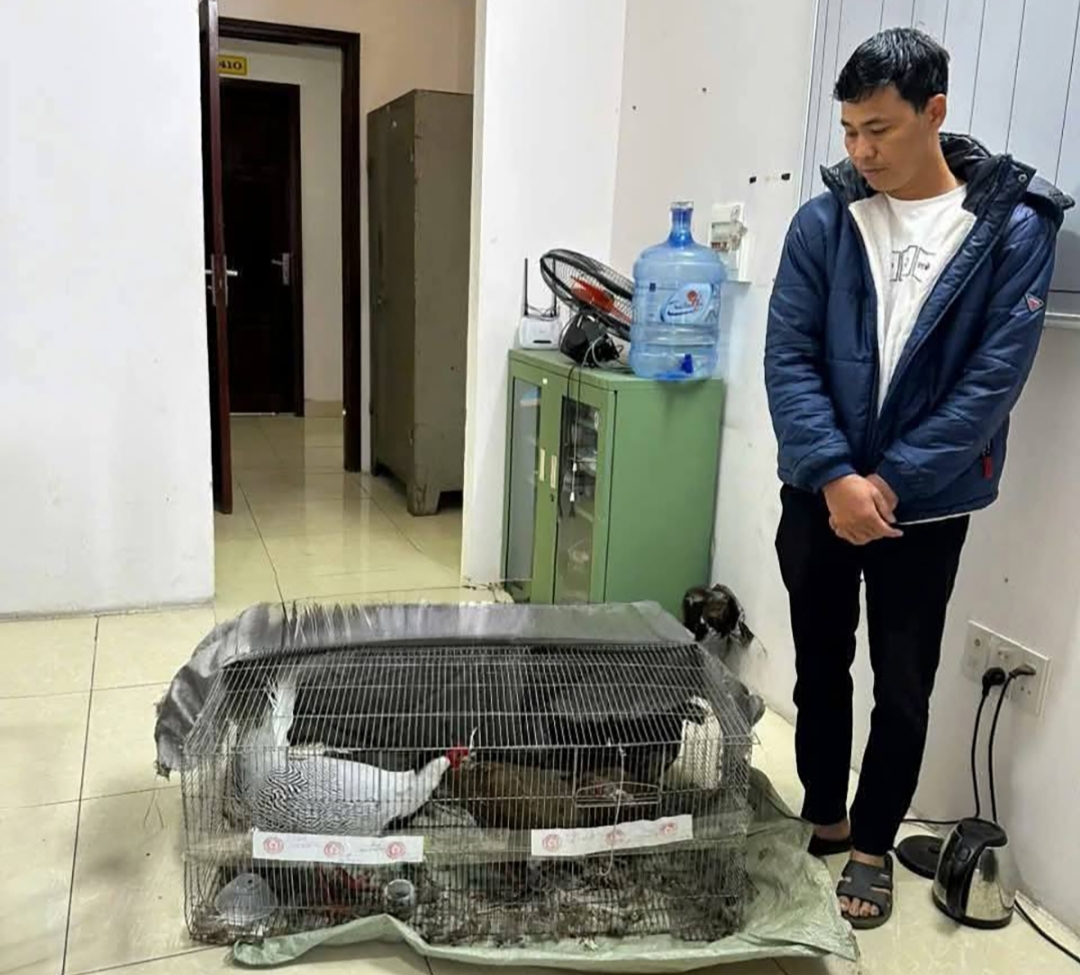 Anh Thái Khắc Thành bị bắt giữ vì nuôi bán 13 con gà lôi trắng trái phép. (Ảnh: Công an cung cấp)