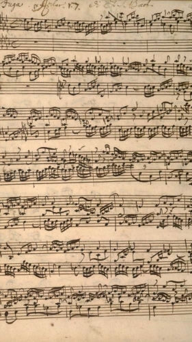 Bài ca nghề luật sư